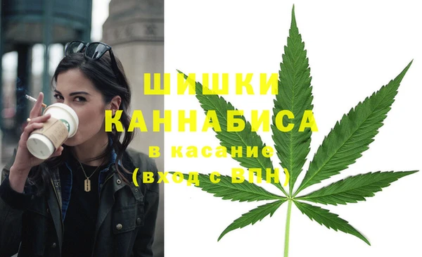 прущий лед Переславль-Залесский