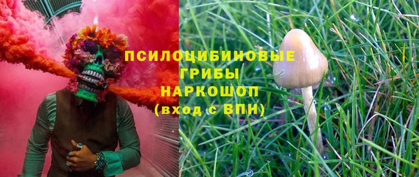 прущий лед Переславль-Залесский