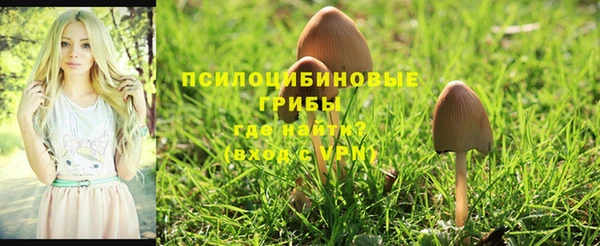 марки lsd Пересвет