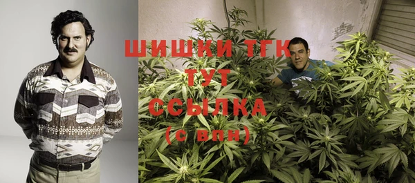 соль ск Абаза