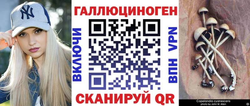 Галлюциногенные грибы Cubensis  Советск 